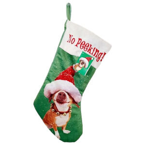 𝅺avanti Cute Dog Jingle Bell Santa Hat Christmas Holiday Stocking